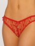 Lace Panty